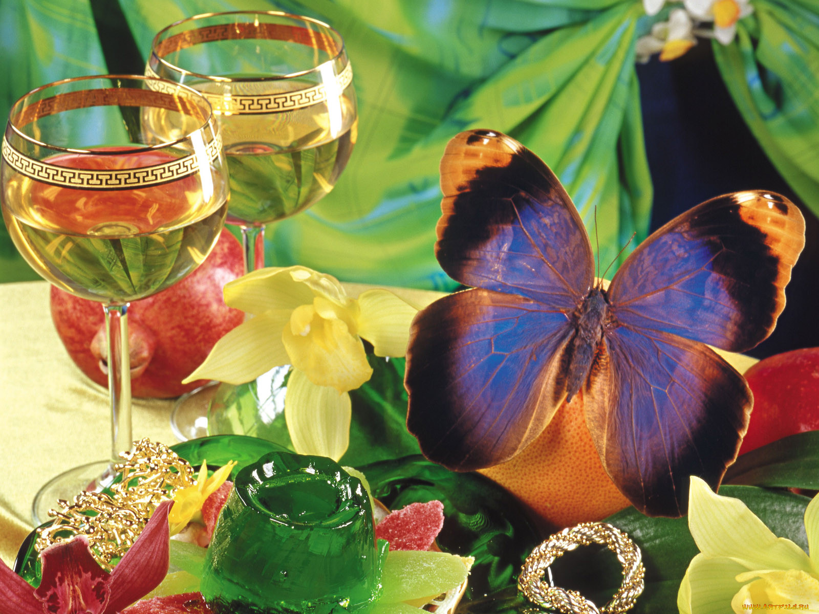 ���, �������, ����